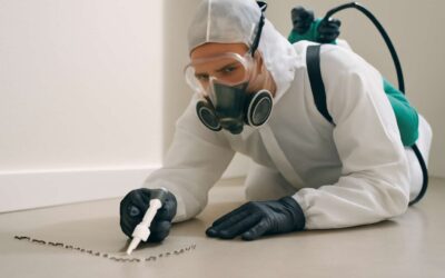 Can Pest Control Get Rid of Ants: Effective Strategies to Eradicate Pesky Invaders