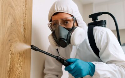 Unlock the True Pest Control Meaning: What It Really Means for a Pest-Free Home