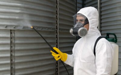 Effective Strategies for Safe and Efficient Fumigation of Grains to Protect Your Harvest