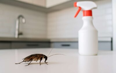 Effective Cockroach Pest Control: Say Goodbye to Unwanted Guests Today!