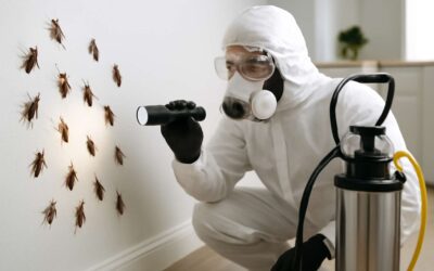 Top-Rated Exterminators Near Me Pest Control for Fast, Reliable Pest Removal Solutions