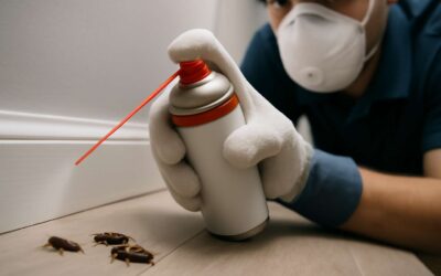 Effective Pest Control Spray Solutions to Keep Your Home Bug-Free All Year Long