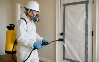 Find Expert Solutions for Termites Fumigation Near Me and Protect Your Home Today!
