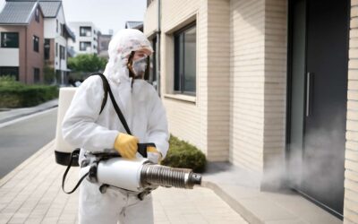 Effective Fumigation Korea: Top Tips for Pest-Free Homes and Businesses