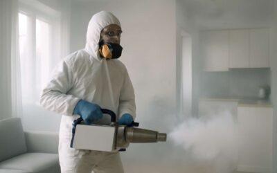 Unlock the Power of the Fumigation Effect: Secrets to a Pest-Free, Healthy Space