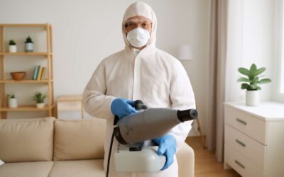 Fumigation How to Prepare: Essential Tips for a Safe and Effective Fumigation Process