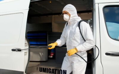 Experience the Ultimate Comfort with Our Expert Fumigation Service Car for a Pest-Free Ride