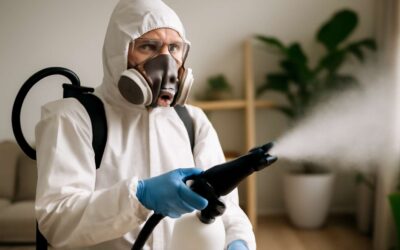 Understanding the Fumigation Meaning Class 9: A Simple Guide to Pest Control Techniques