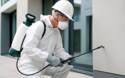 Unlock the Power of the Pest Control Act to Safeguard Your Home and Environment Effectively