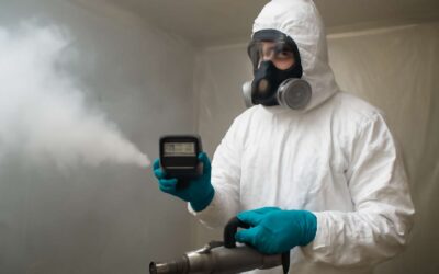 What to know about fumigation how many hours for safe, effective pest control