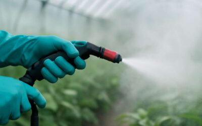 Why fumigation gloves are your best shield for safe pest control.