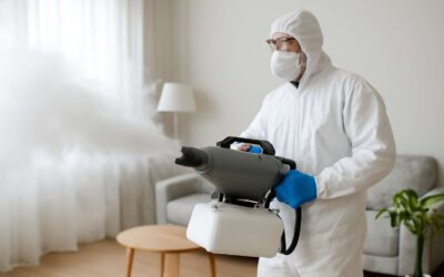 Protect your home with fumigation around me for quick, safe pest relief