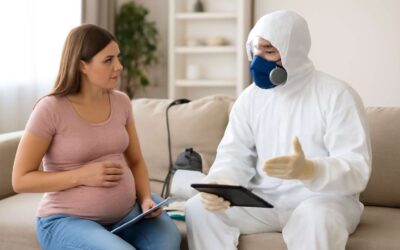 A guide on fumigation when pregnant: Safe, proactive steps to protect you and baby